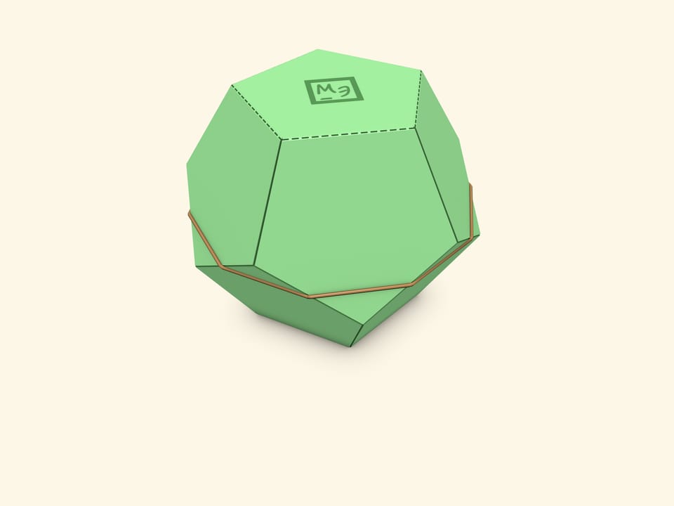 Steinhaus Dodecahedron